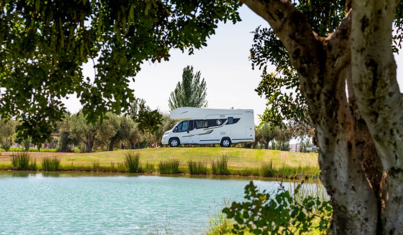 BENIMAR SPORT 323 full